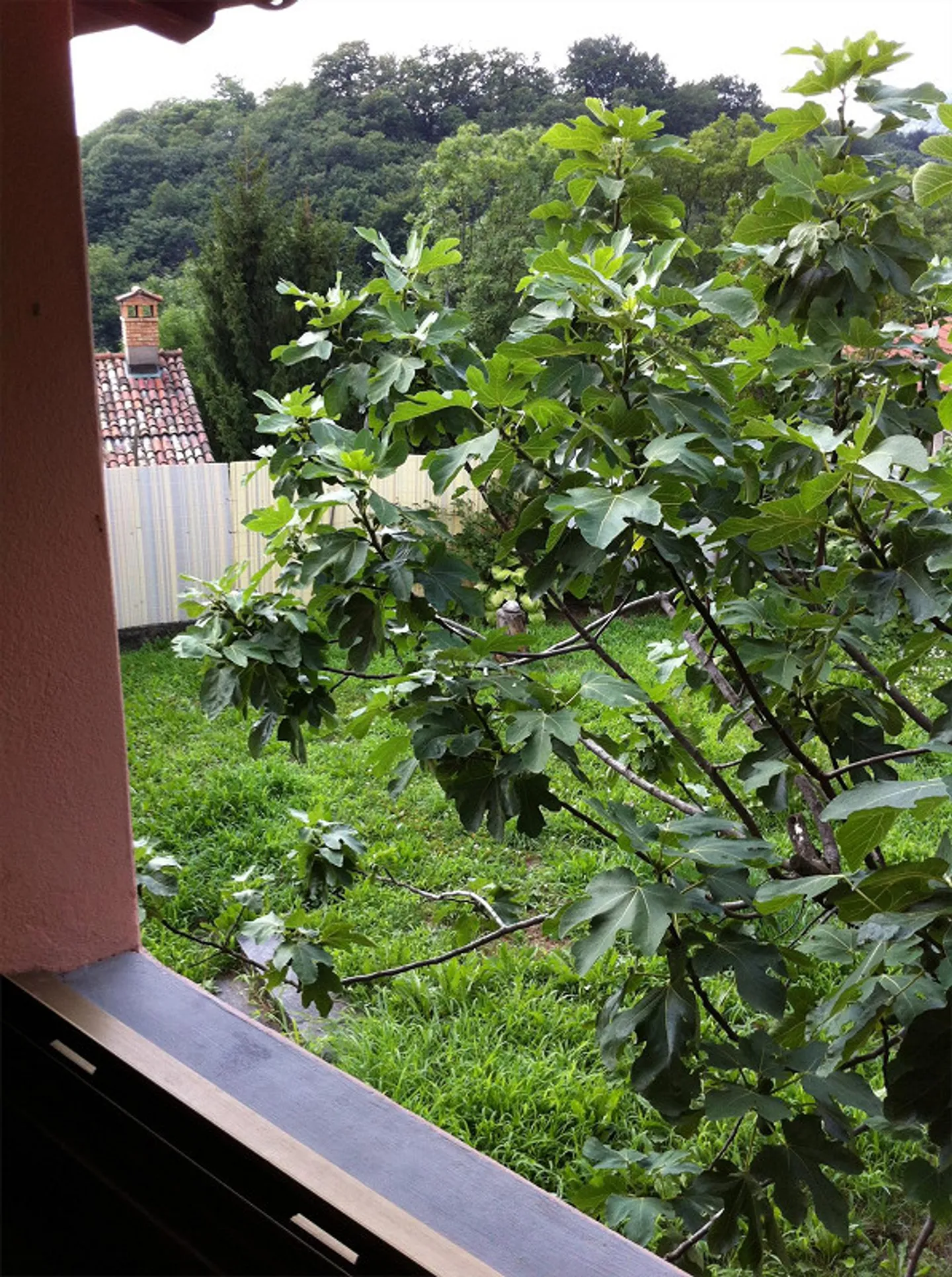 3 1/2 room apartment with garden - Photo 9 of 13