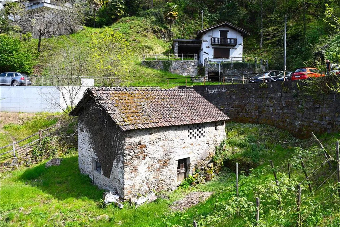 Gambarogno - terreno edificabile | Gambarogno - Erschwingliches Baugrundstück - Foto 6 von 13