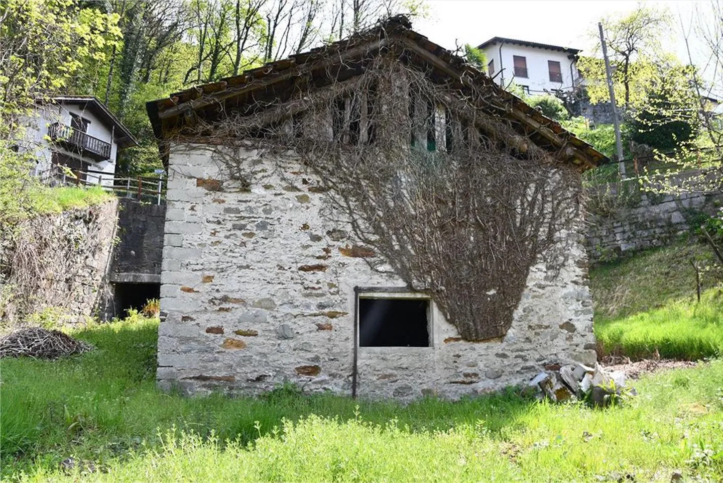 Gambarogno - terreno edificabile | Gambarogno - Erschwingliches Baugrundstück - Foto 7 von 13
