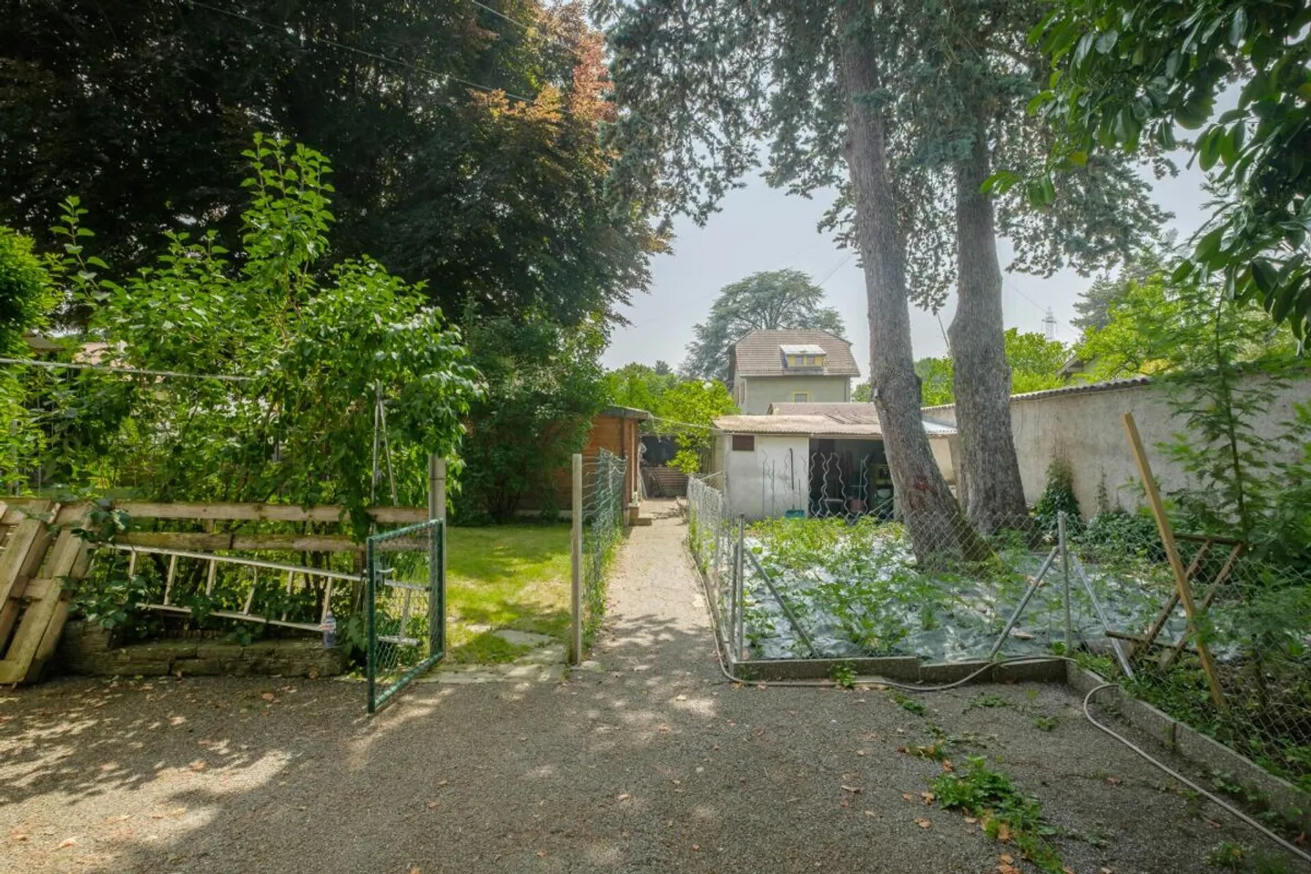 Casa indipendente con grande terreno - Foto 6 di 8