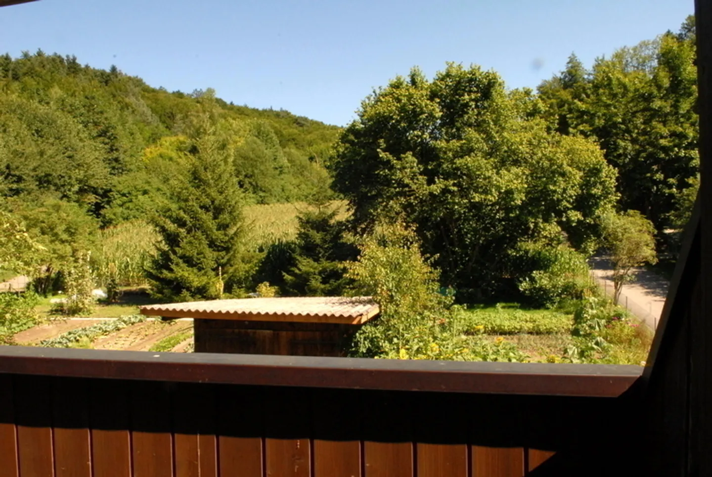 2 ROOM APARTMENT IN HINTERKAPPELEN (BE), FURNISHED - Photo 8 of 8