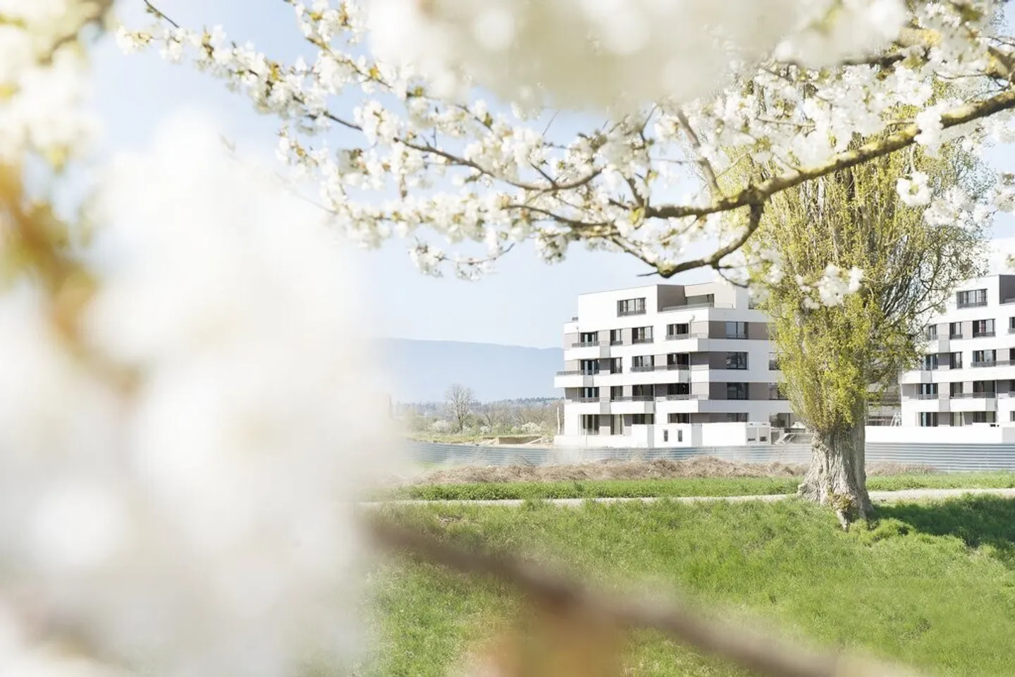 Bel appartement de 2.5 pièces - Photo 5 sur 5