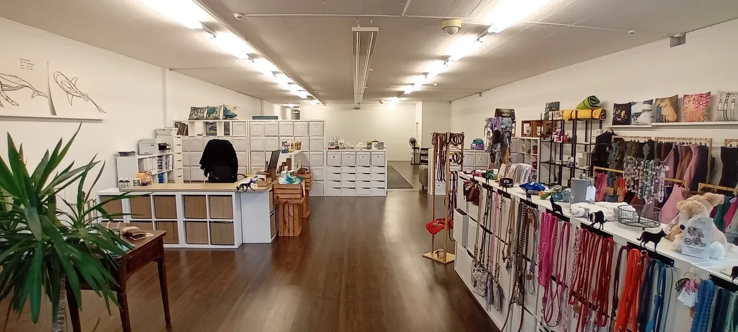 Sales, Exhibition or Studio Space in a Well-Frequented Location - Photo 2 of 7