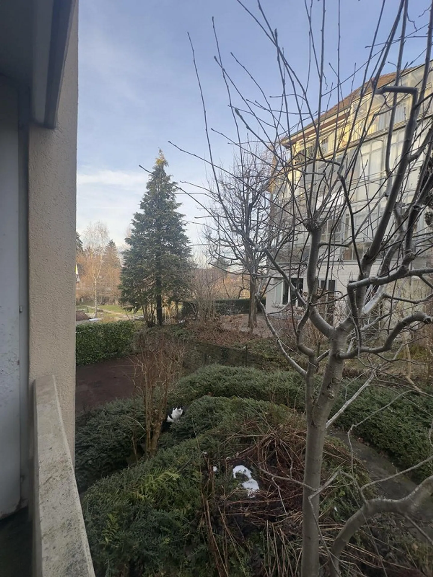 Logement TEMPORAIRE à louer dans le quartier populaire de Wesemlin - Photo 2 sur 13