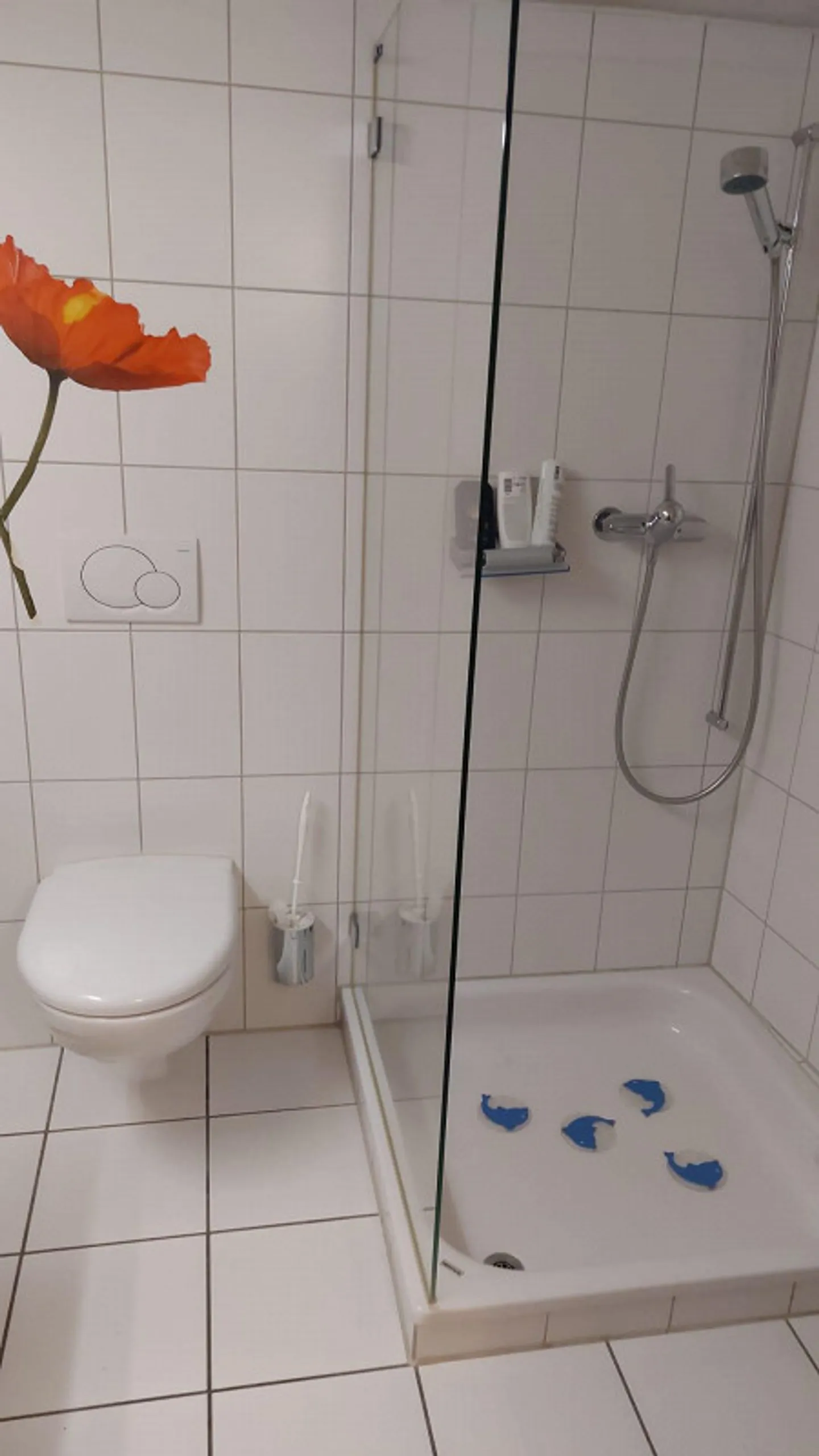 Rustikales Mehrfamilienhaus mit historischem Wert - Foto 20 von 30