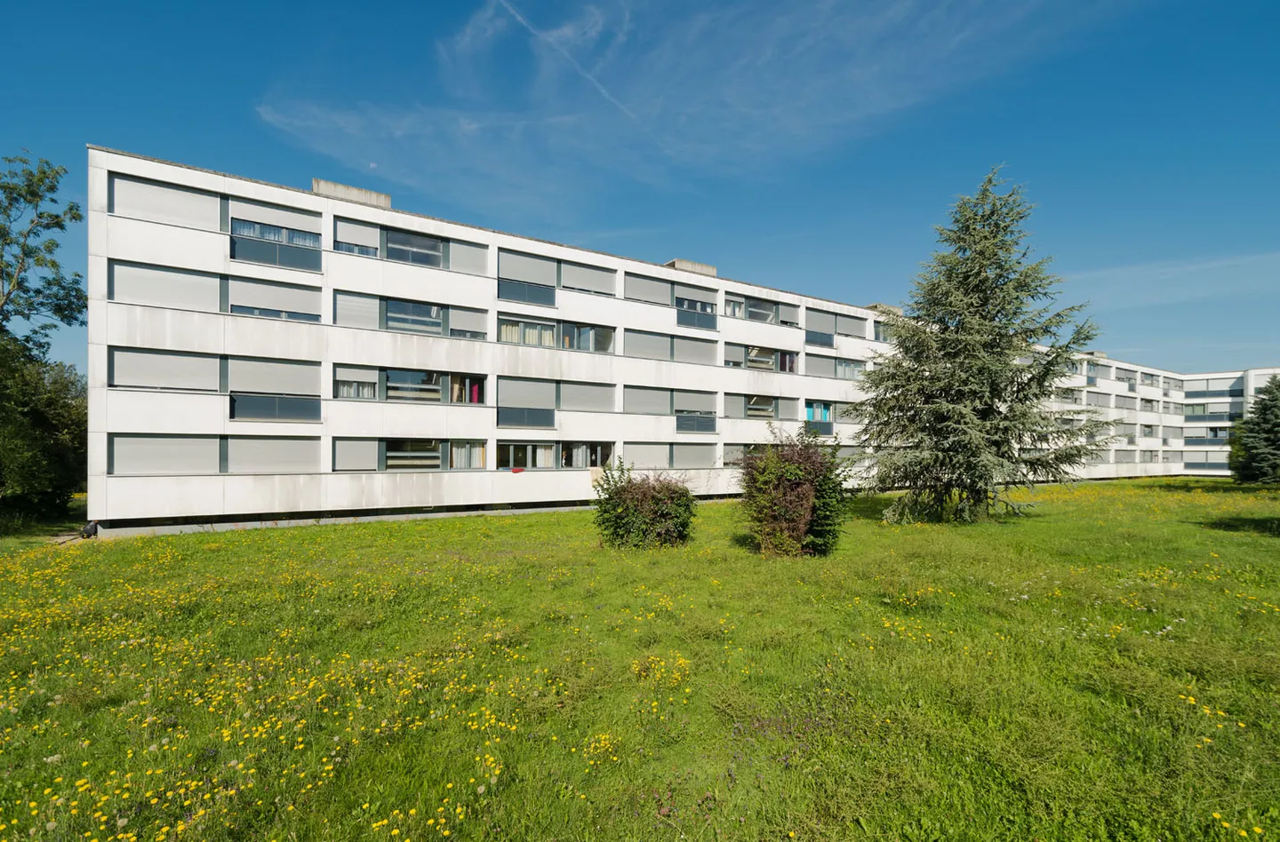 Heller Lagerraum in Grand-Saconnex - Foto 1 von 1