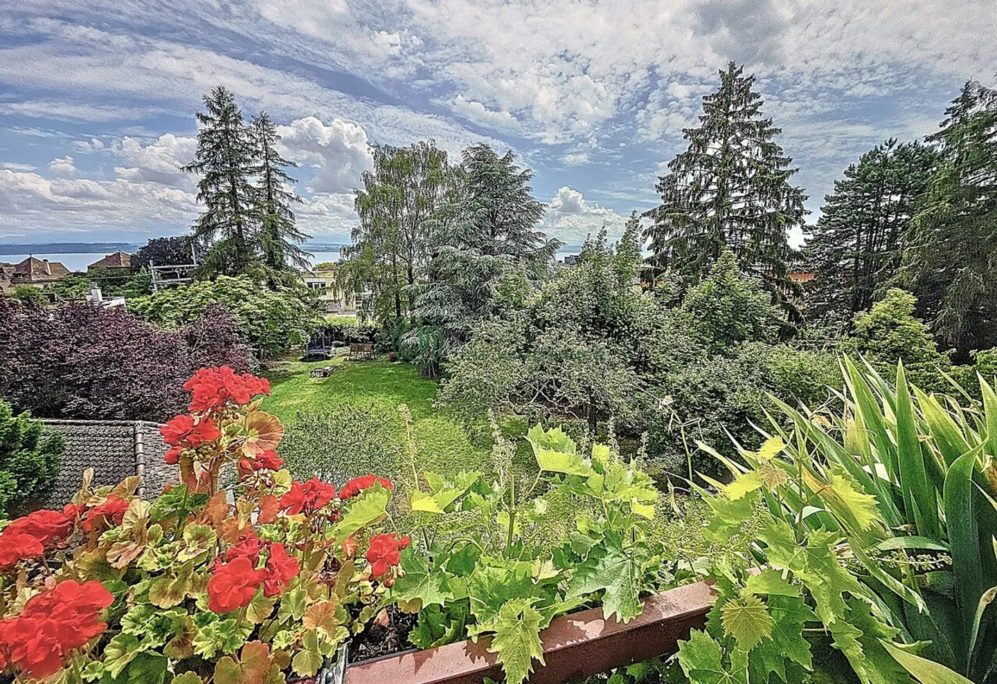 Charming Multi-Family Home - Photo 16 of 18