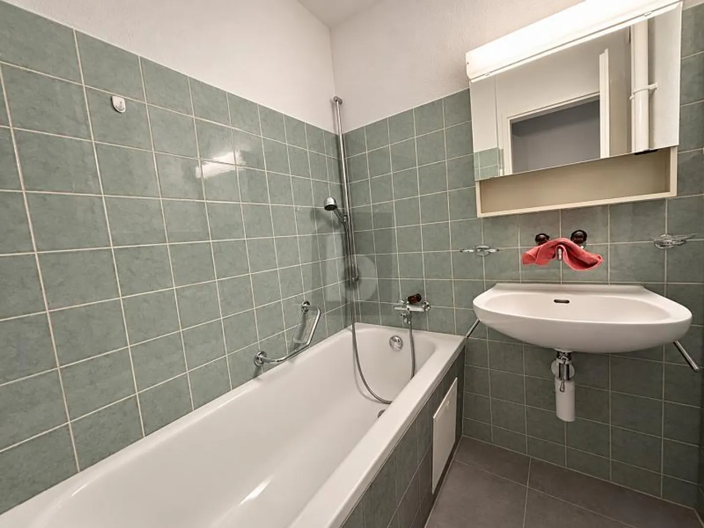 Renovated Apartment near Lake Zurich - Photo 5 of 6