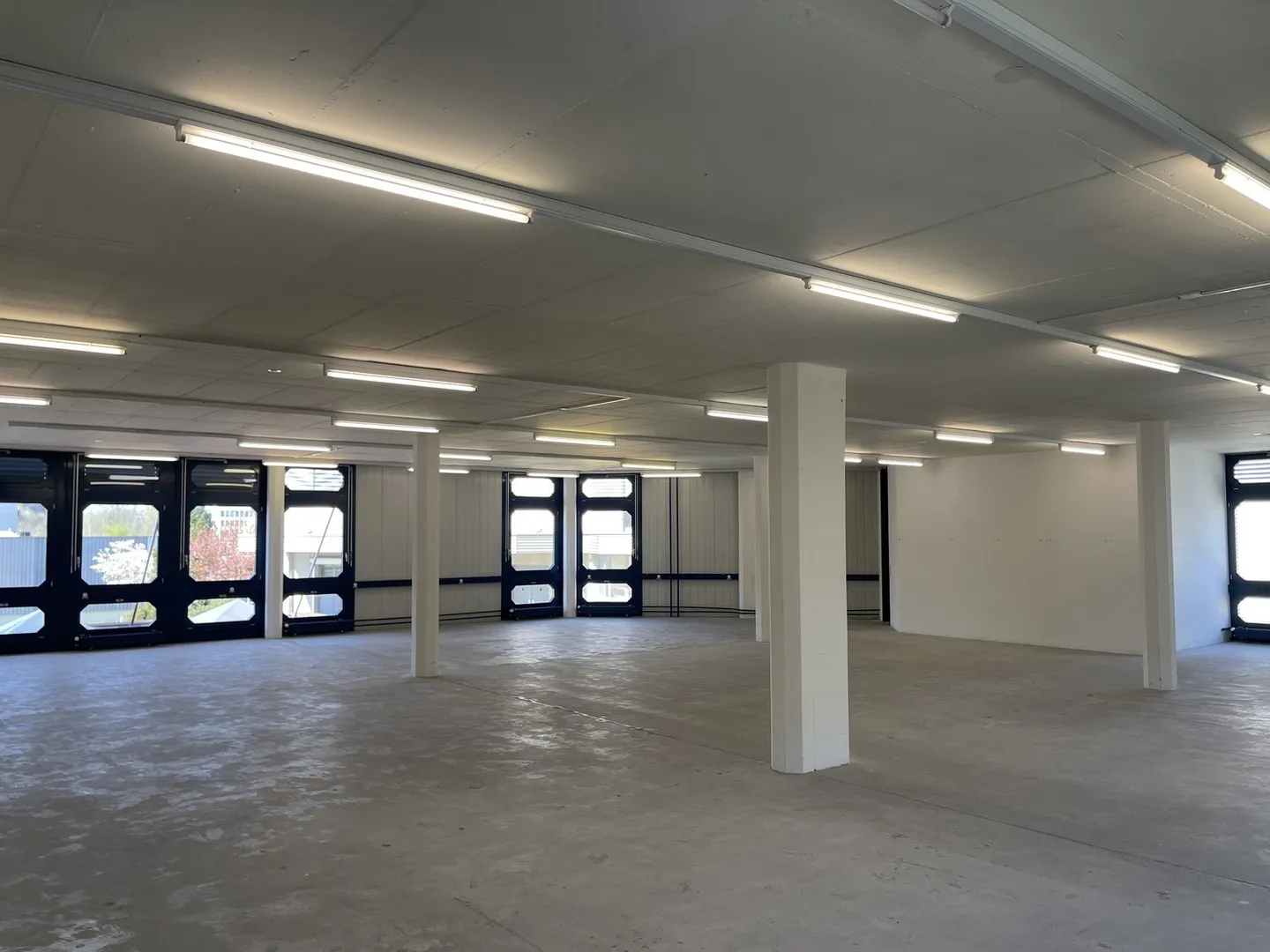 Versatile Office Space in Grindel - Photo 4 of 5