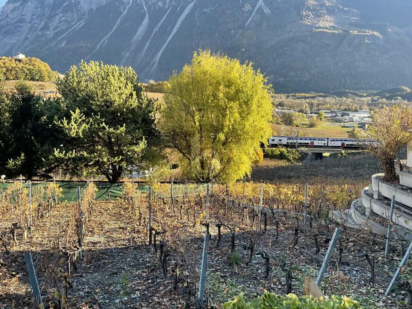 Idyllisches Grundstück im Weinland - Foto 1 von 6