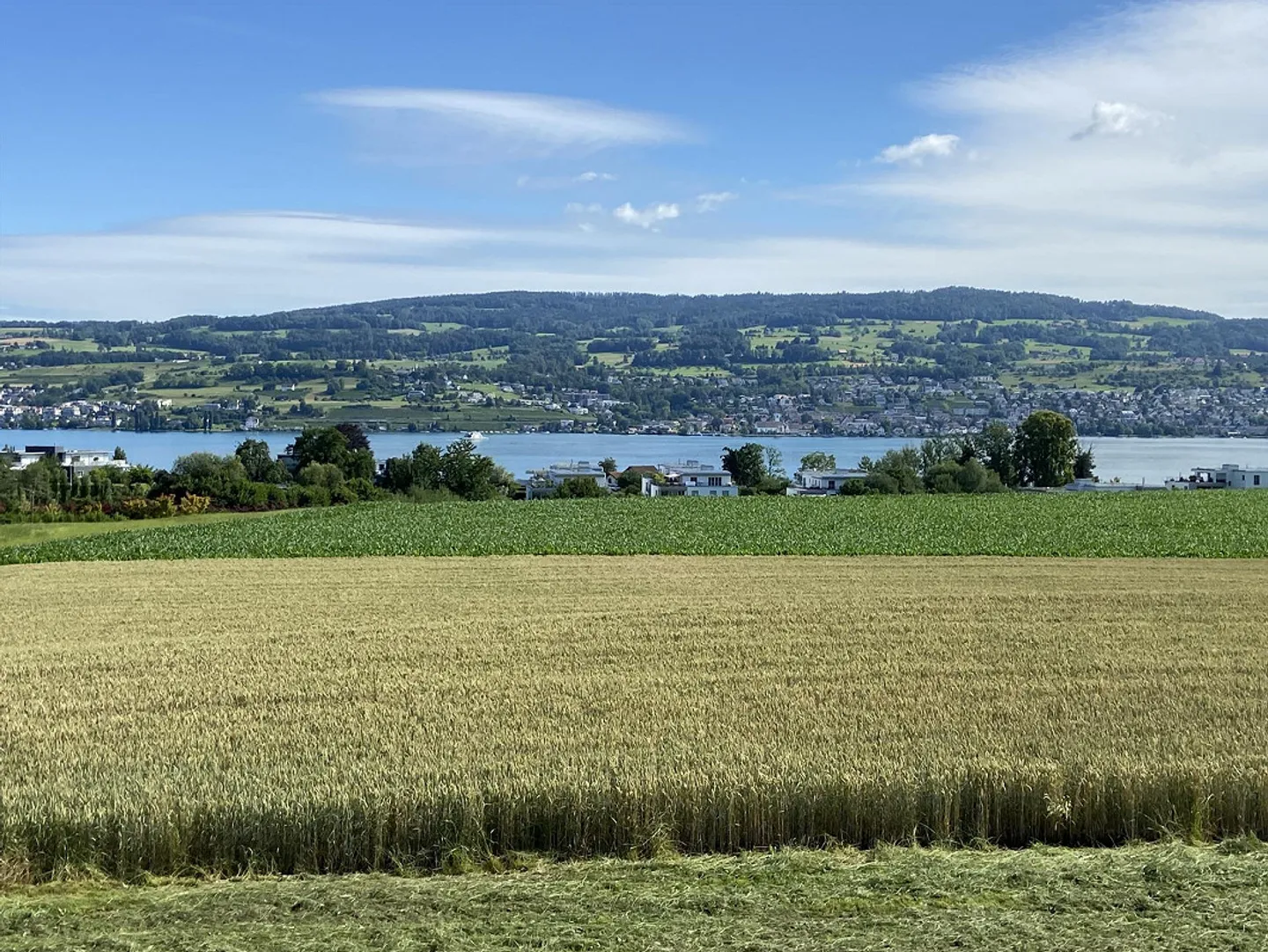 Wunderschöne, einzigartige Wohnung mitten im Grünen - Foto 1 di 8