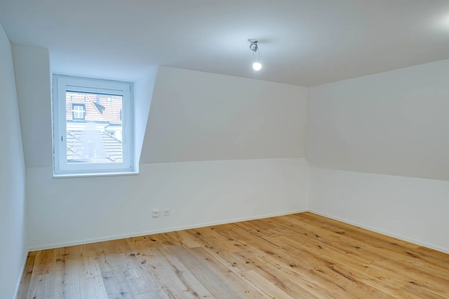 Great Single Apartment! - Photo 5 of 5