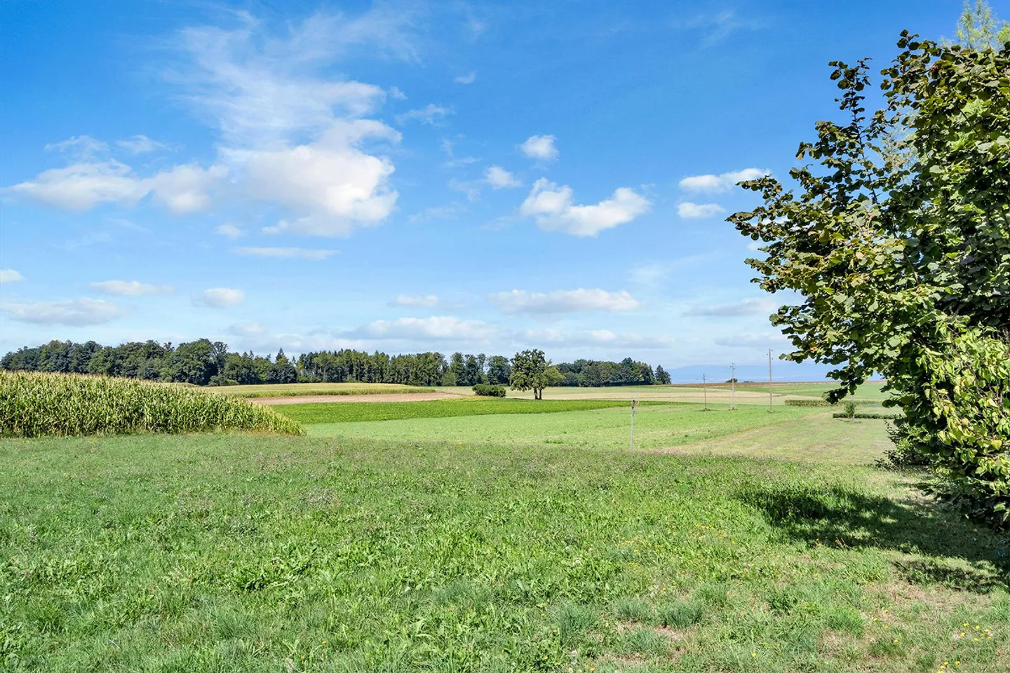 Ruhe. Raum. Ready für dich - Photo 10 sur 11