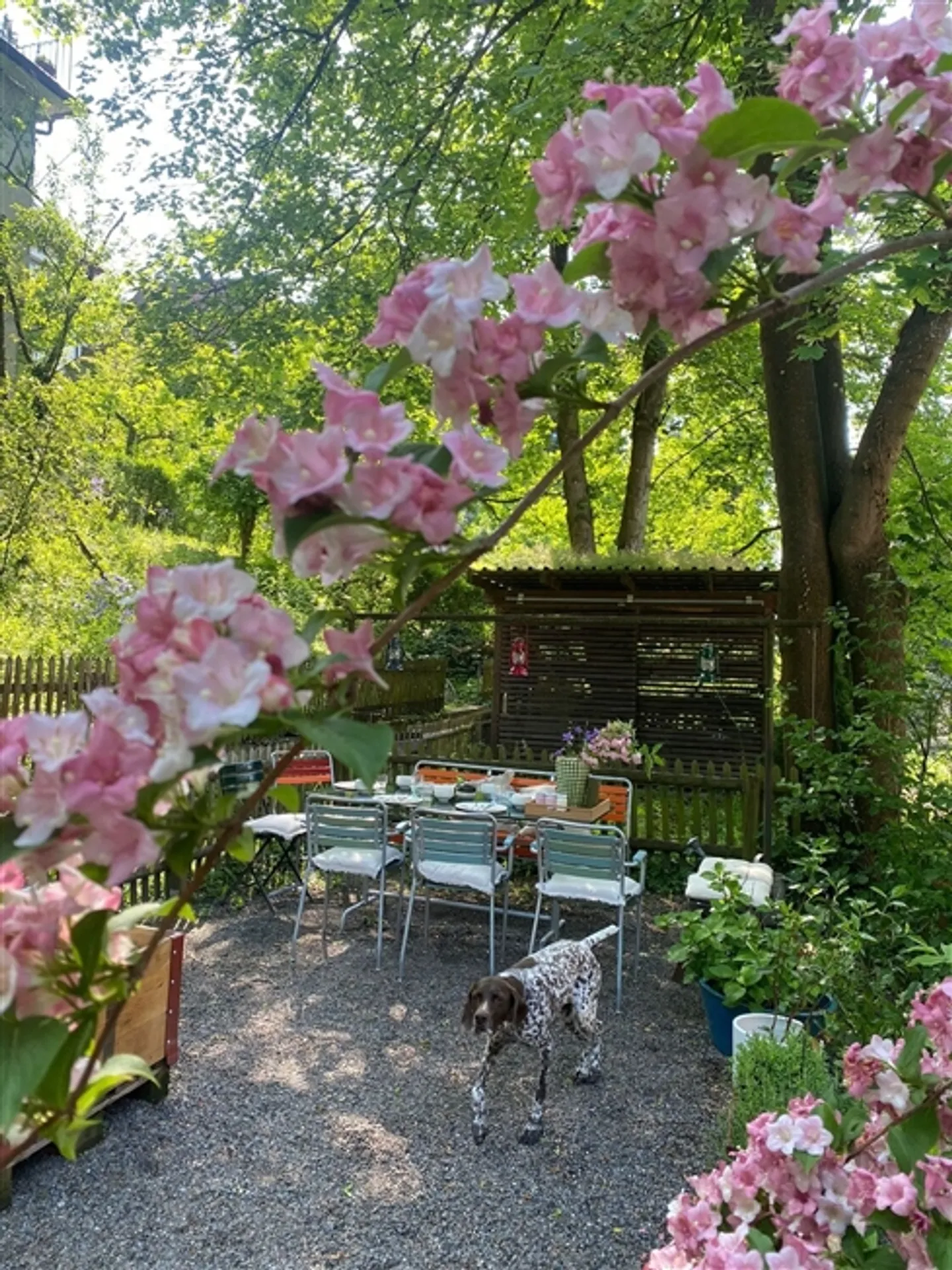 4-room apartment in Zurich - District 7 Hottingen, furnished, temporary - Photo 9 of 9