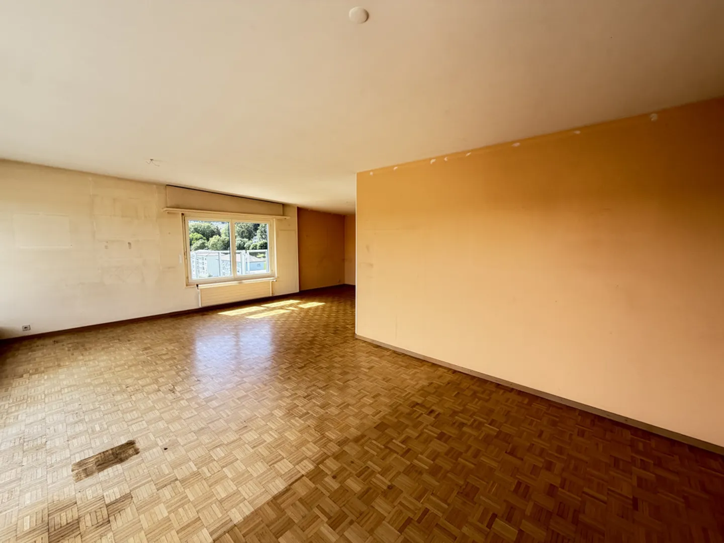 Luxury Apartment with Private Elevator - Photo 3 of 12