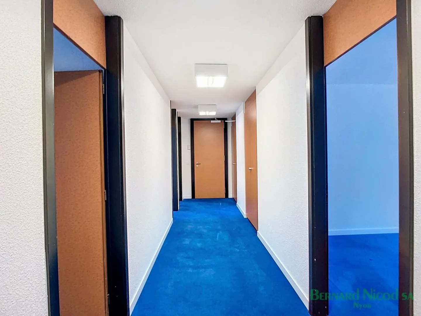 Prime Office Space in Nyon - Photo 3 of 5