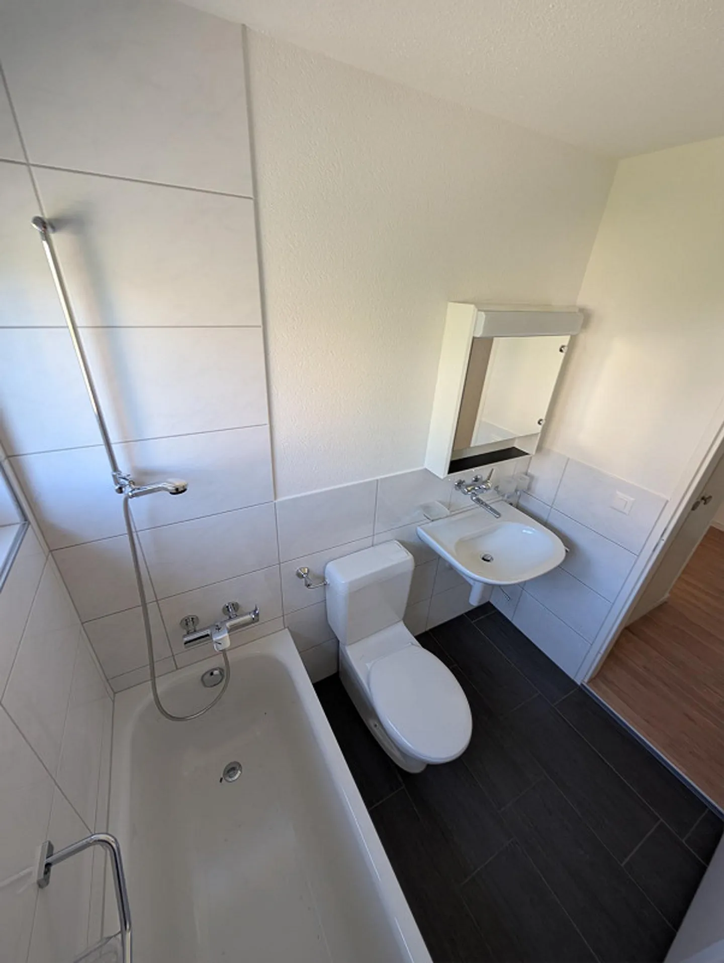 3.5 Room Apartment - Photo 10 of 14