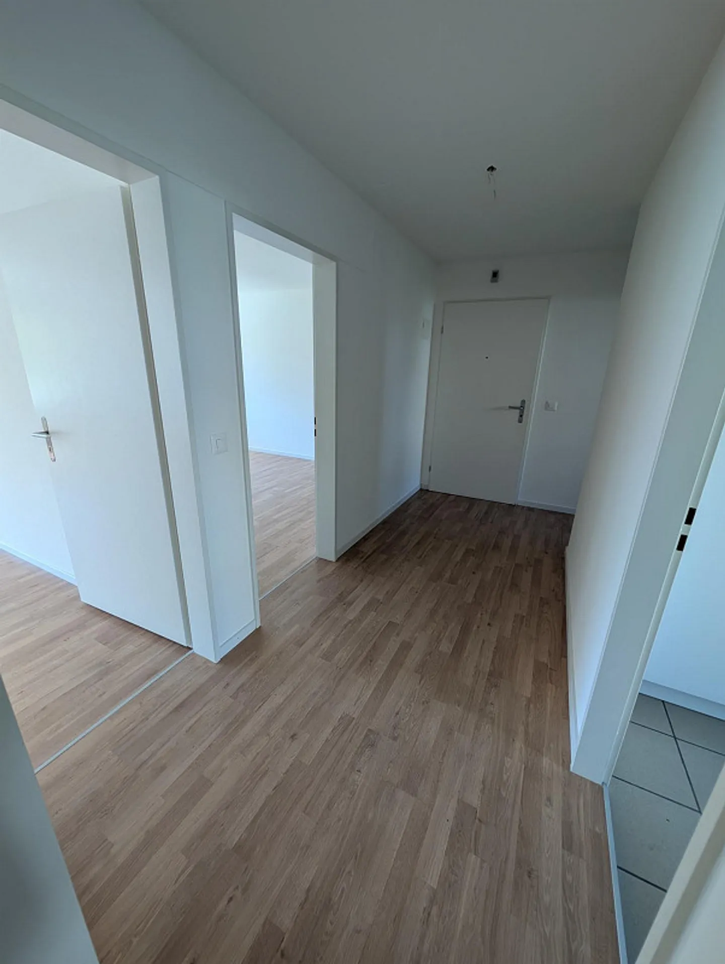 3.5 Room Apartment - Photo 11 of 14