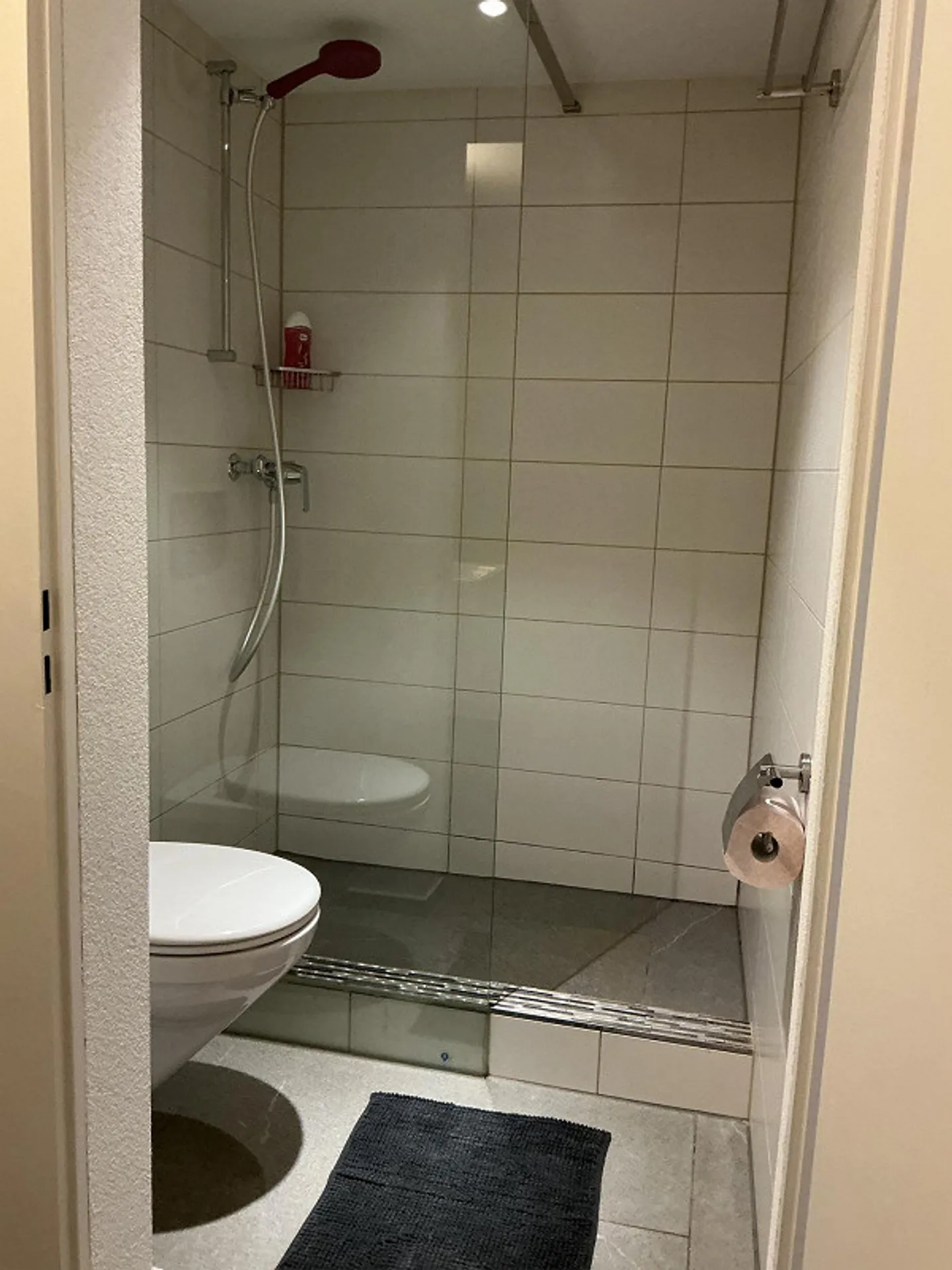 Möblierte 2.5 Zimmerwohnung in Amsteg zu vermieten - Foto 4 di 6
