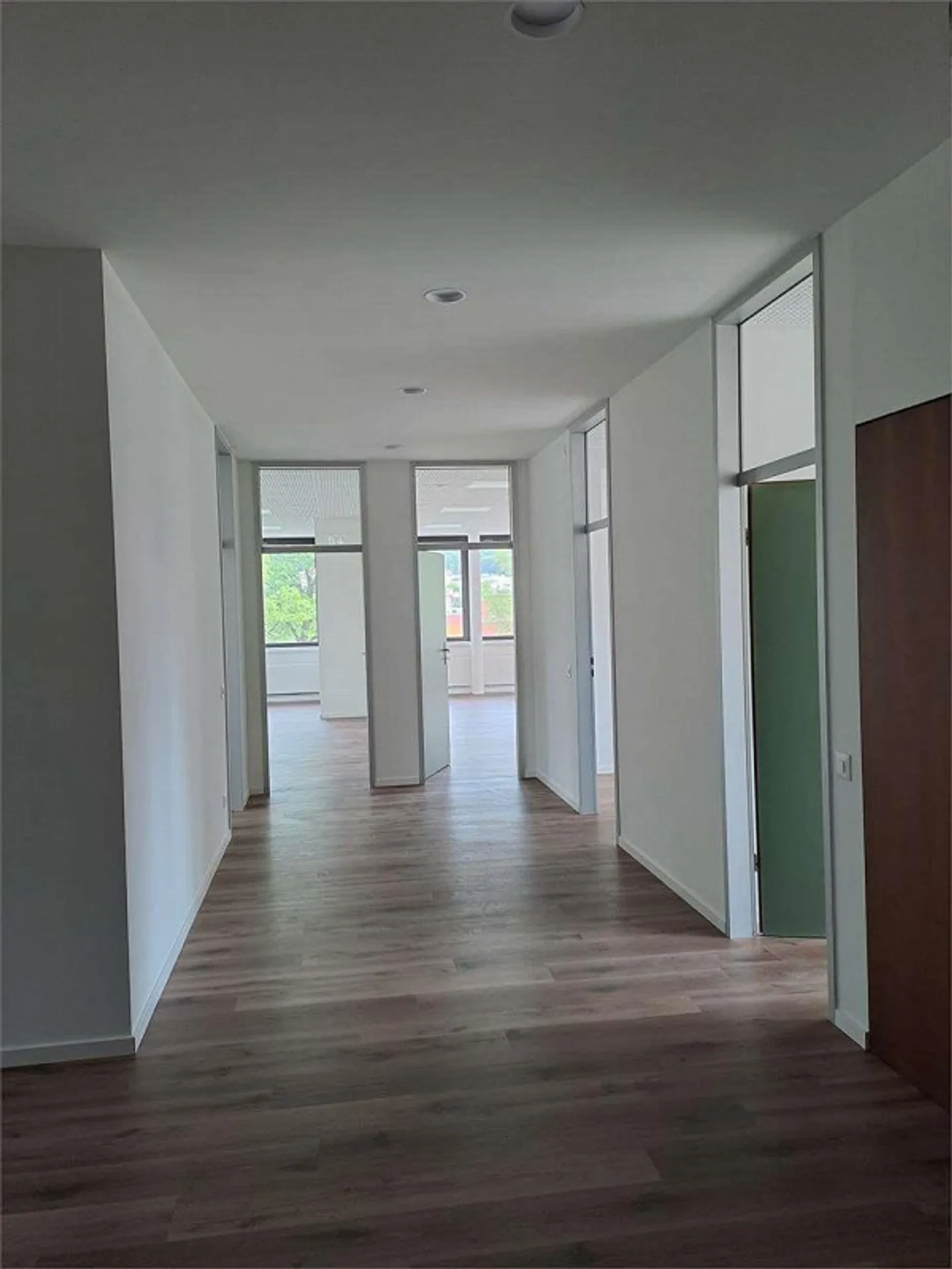 Lugano Molino Nuovo - Prestigious Commercial Space of 285 sqm Total - Photo 5 of 11