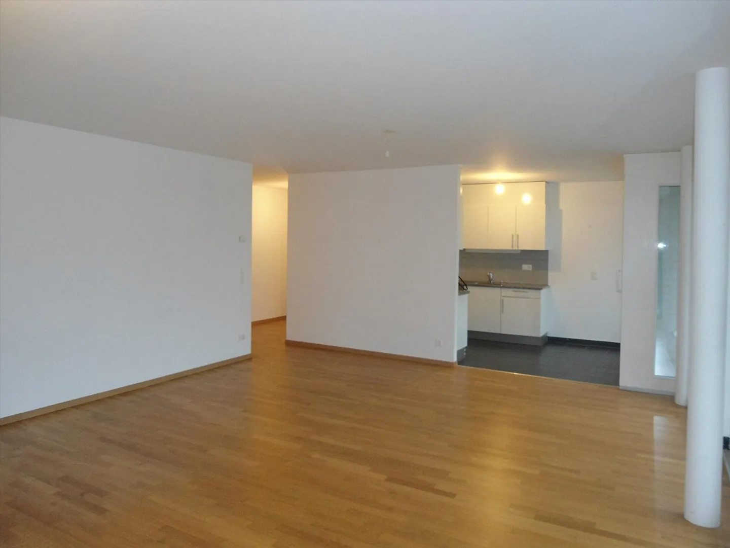 Superb 5-room sunny and quiet apartment - Photo 3 of 9