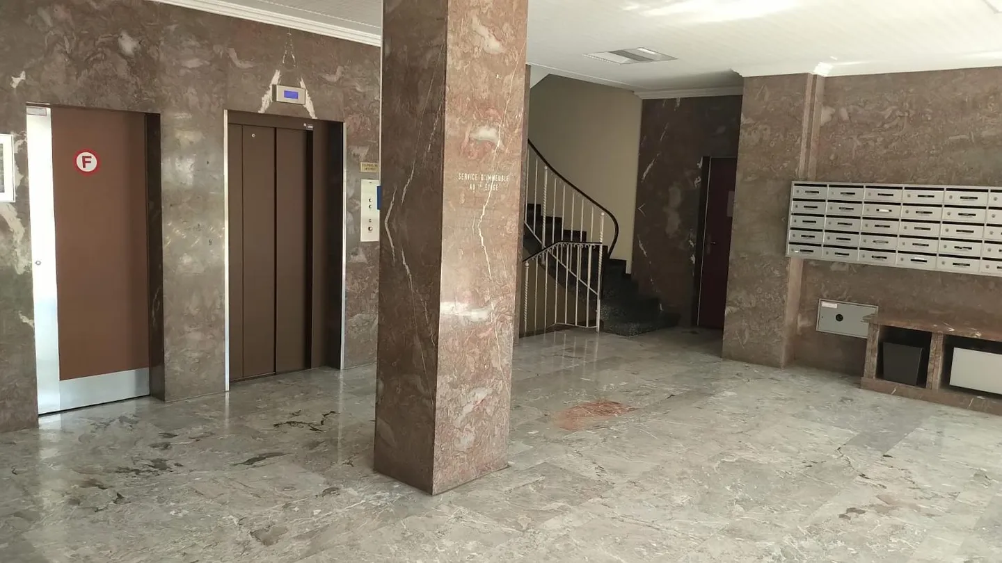 Magnifico appartamento di 7 stanze al 7° piano a Grand-Saconnex - Foto 21 di 22