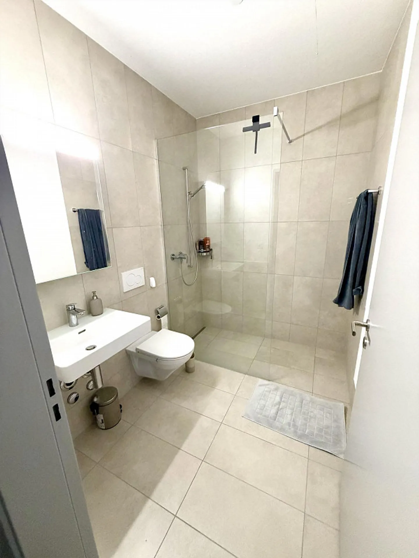 Moderno appartamento 2.5 stanze a Winterthur Hegi - Foto 4 di 15