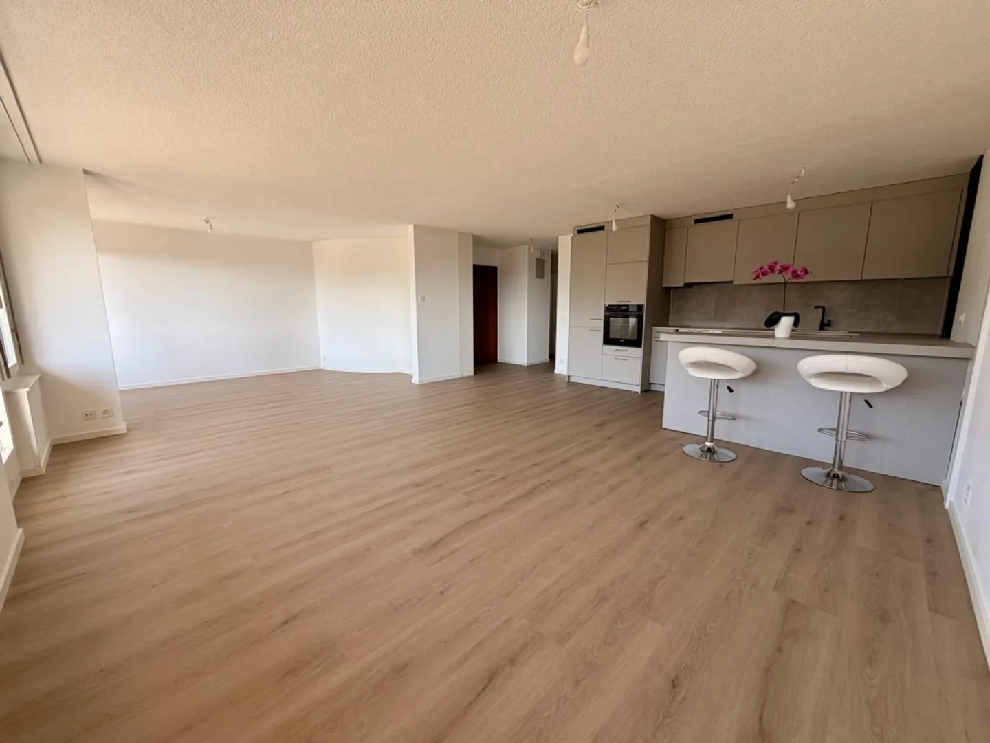Spacious Apartment with Lake View - Photo 2 of 13