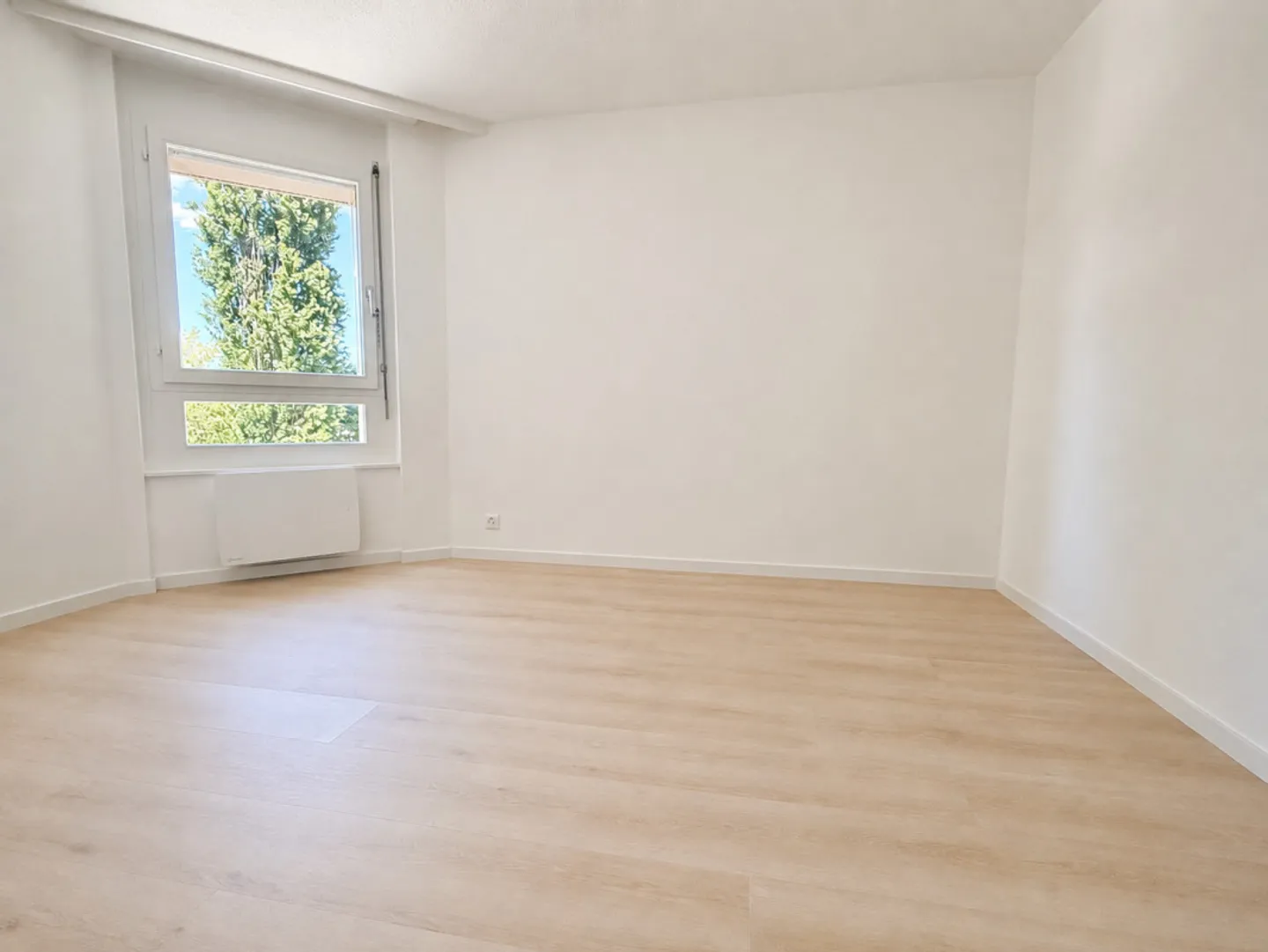 Spacious Apartment with Lake View - Photo 9 of 13