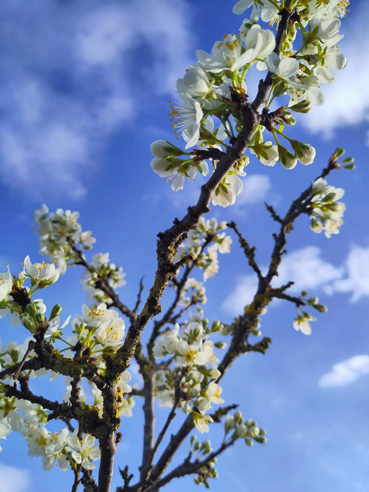Maisonette spacieuse avec terrasse - Photo 8 sur 11
