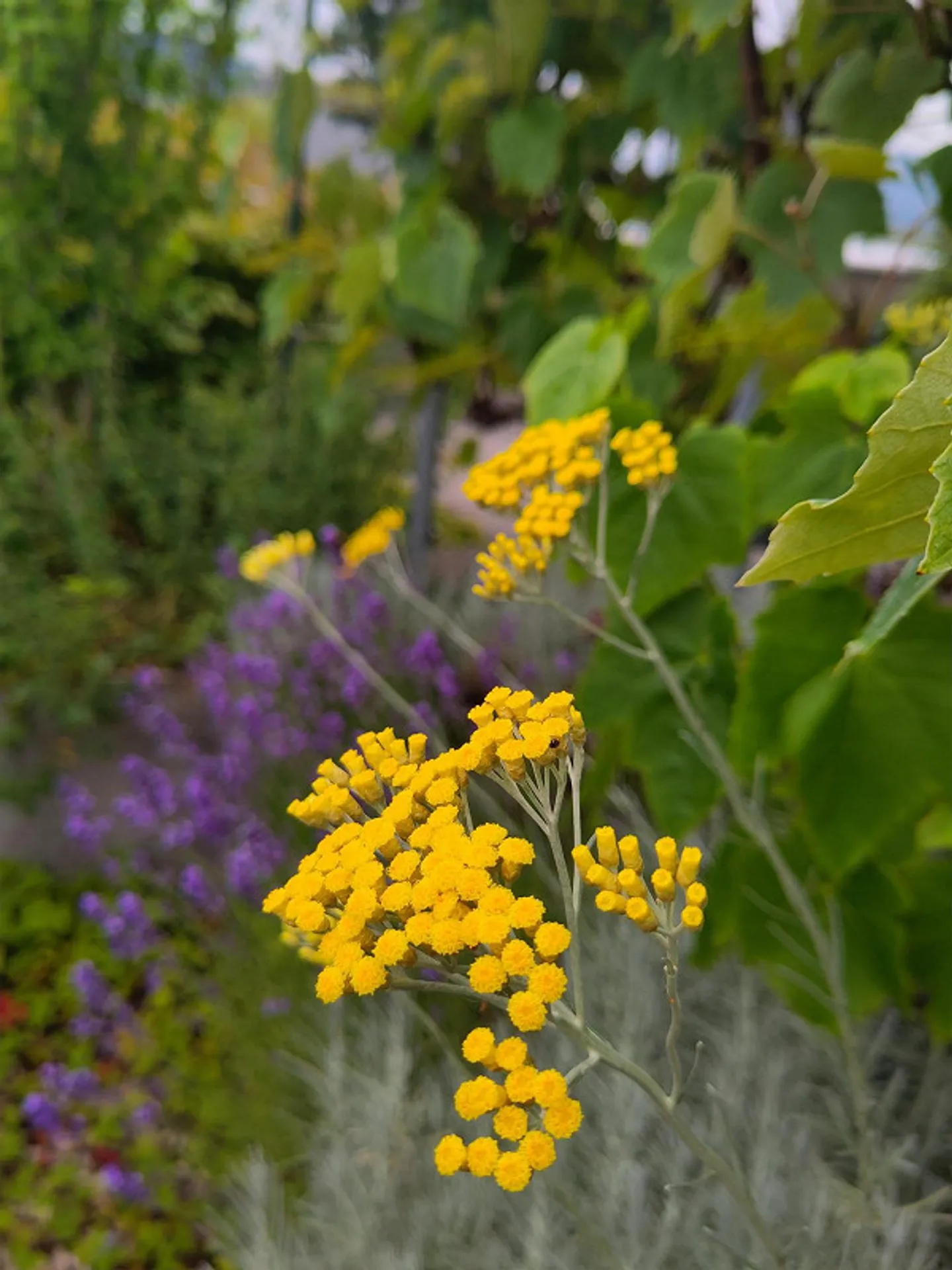 Maisonette spacieuse avec terrasse - Photo 9 sur 11