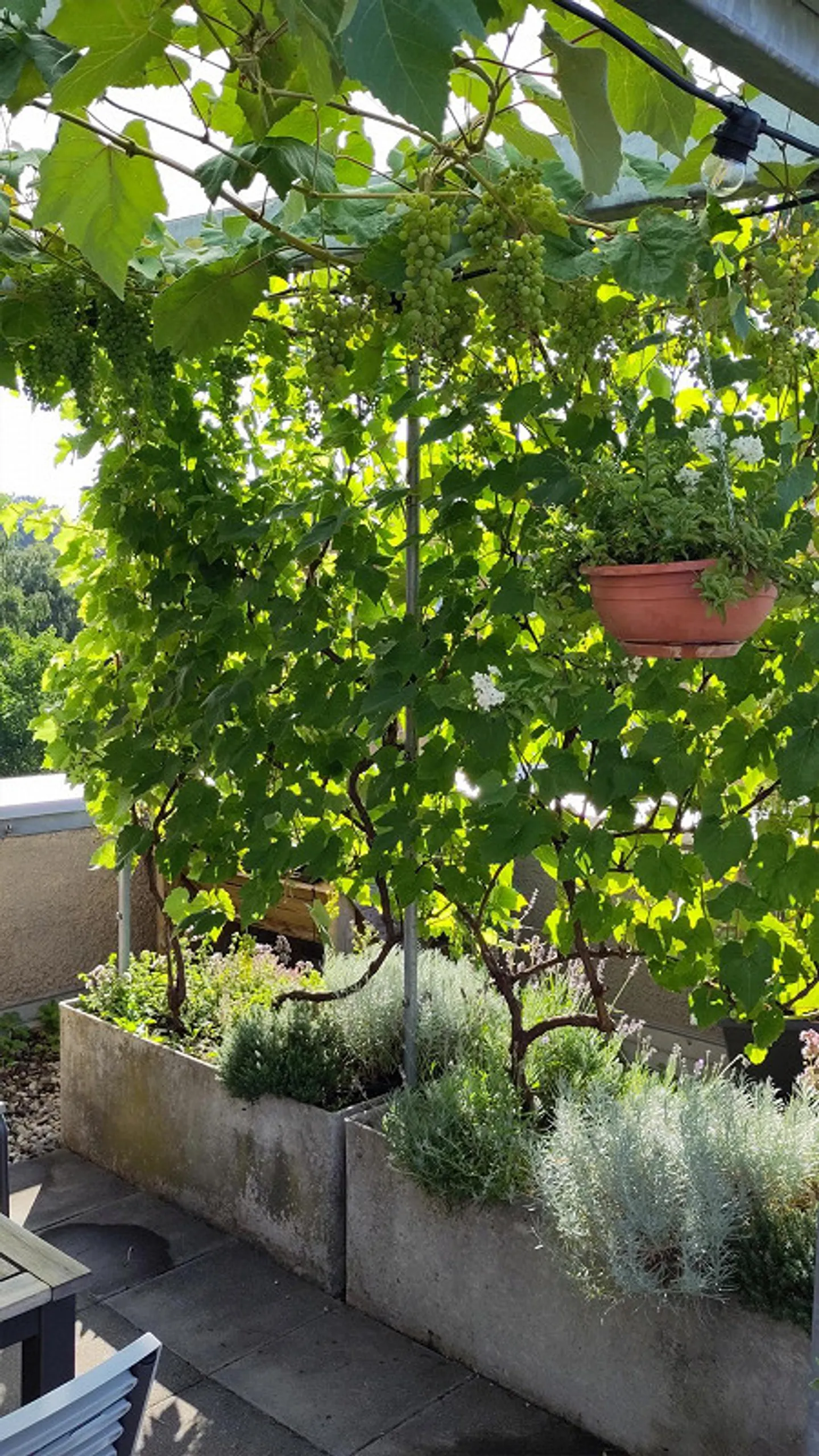 Maisonette spacieuse avec terrasse - Photo 11 sur 11