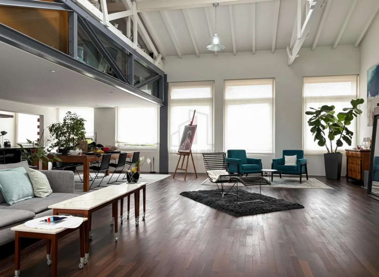 LOFT MAGNIFIQUE À UN NOUVEAU PRIX - Photo 1 sur 11