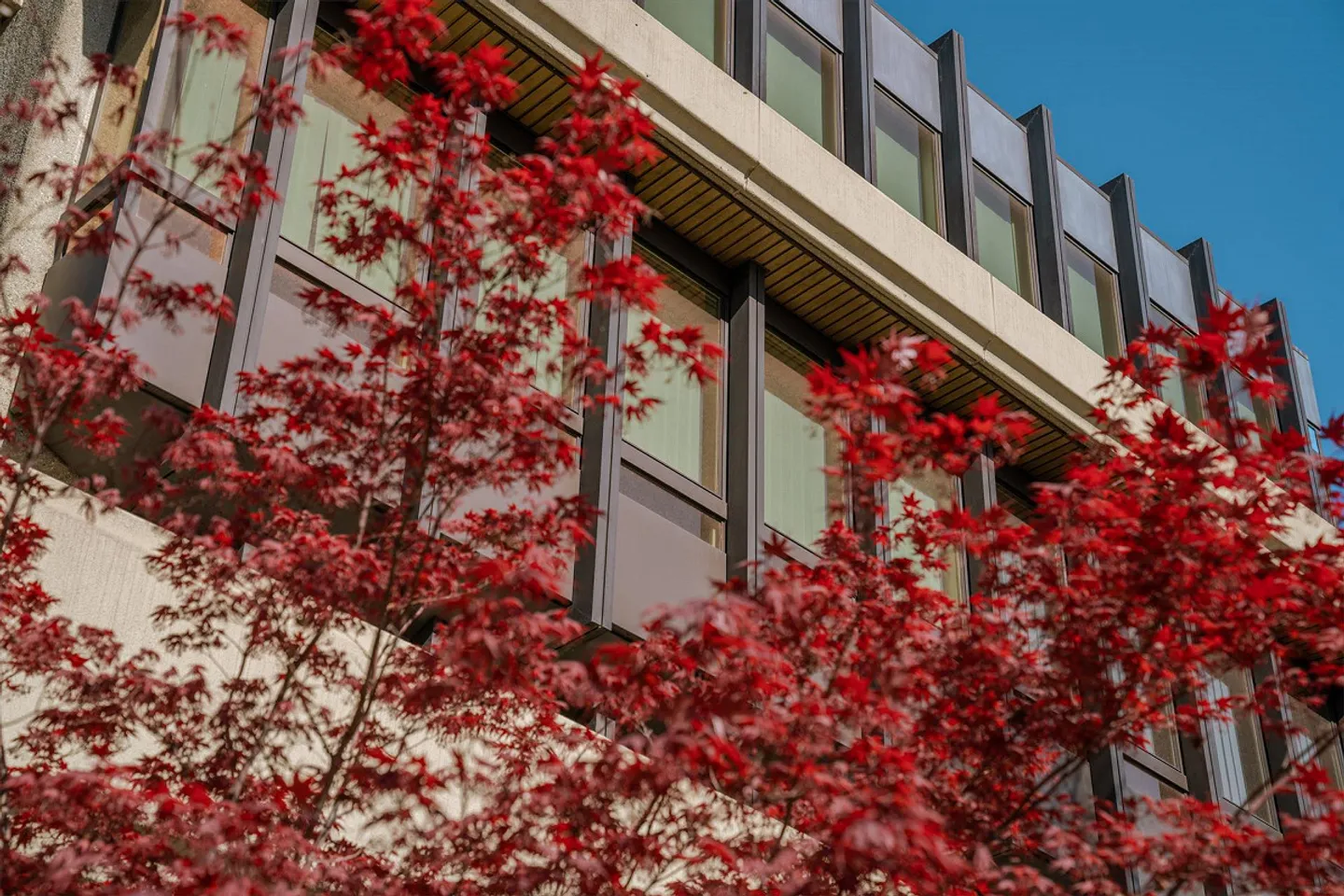 Espace commercial prestigieux à Lugano - Rénové et flexible - Photo 4 sur 14