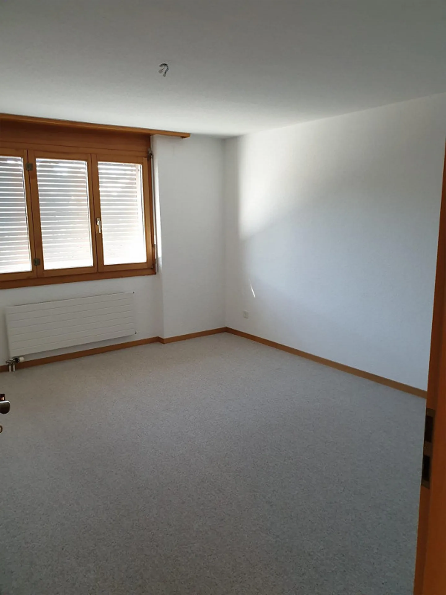 Bright and spacious apartment in Lerchenfeld - Photo 10 of 15