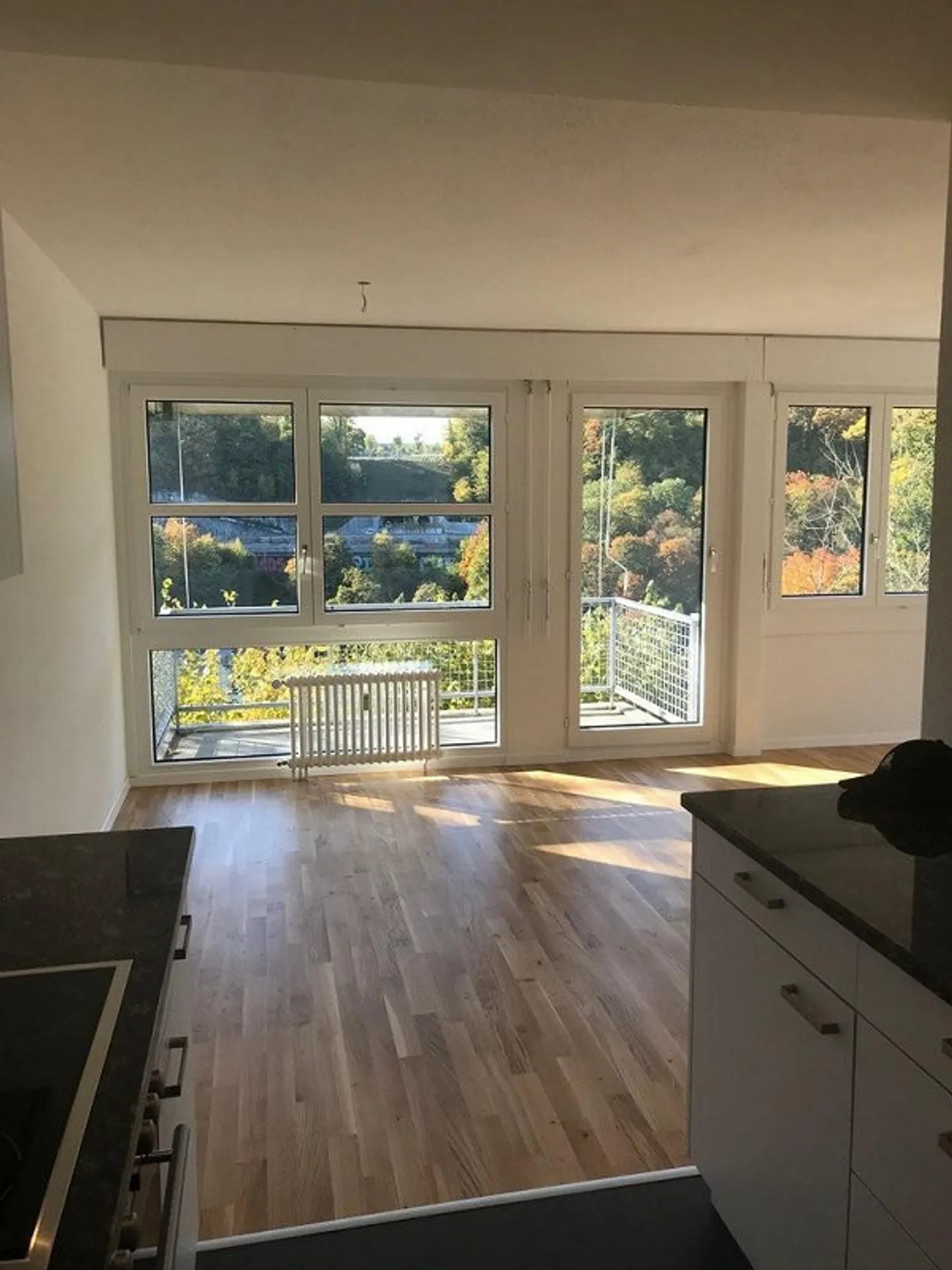 Appartement spacieux de 3,5 pièces - Photo 4 sur 11