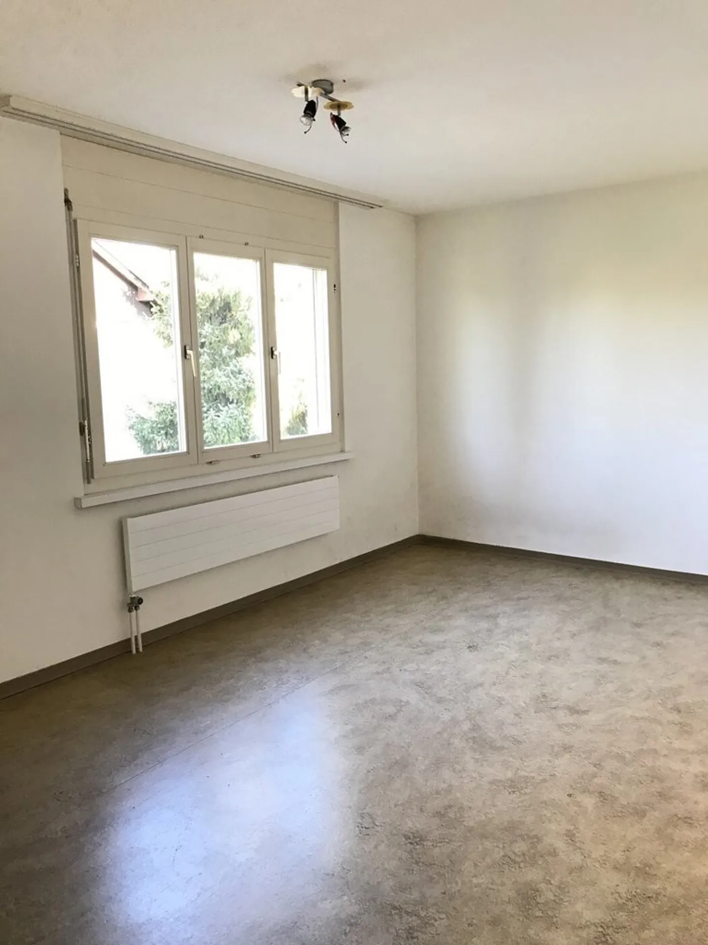 Bright 4.5 Room Apartment - Photo 4 of 8