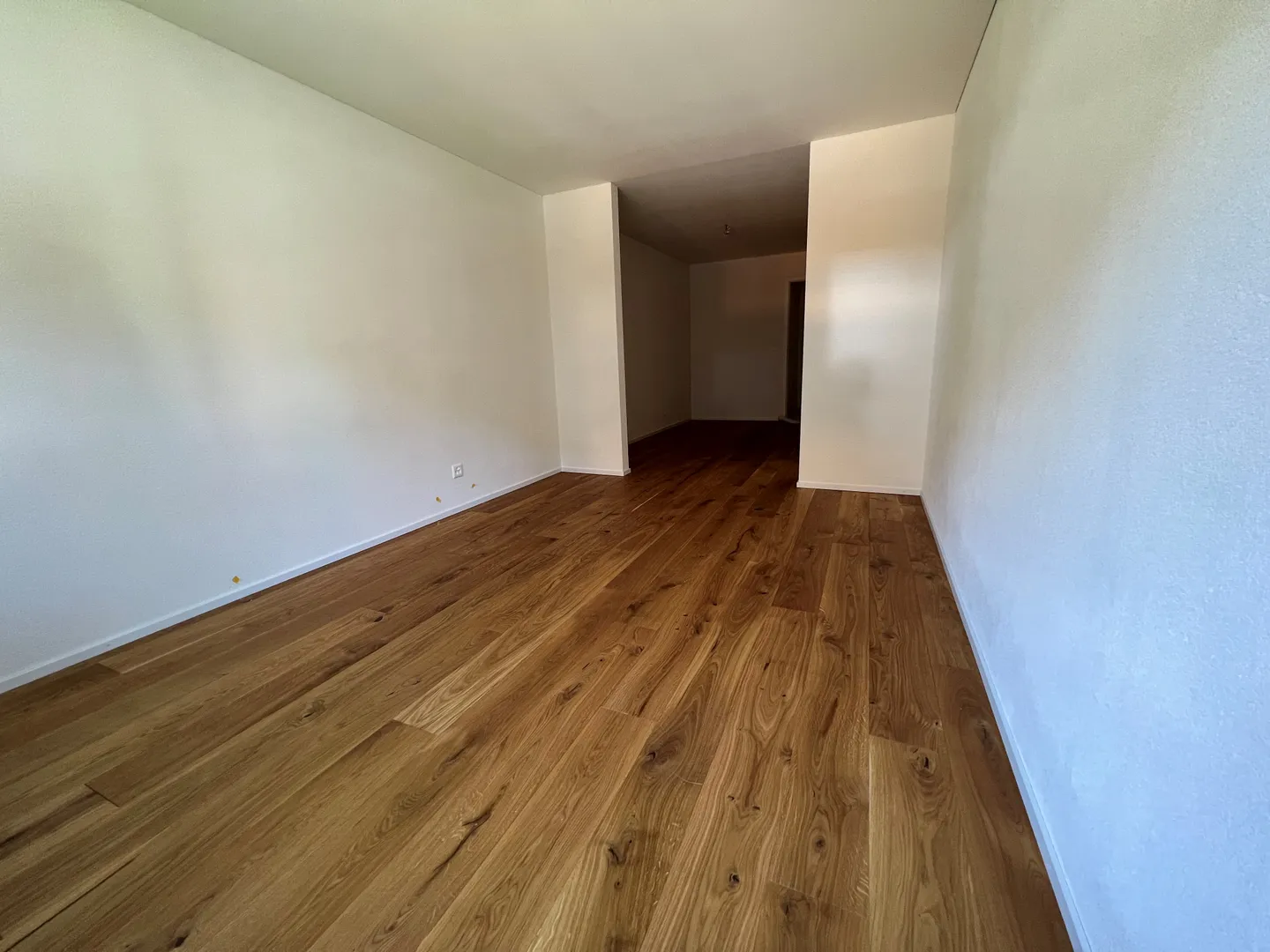 Appartement 3.5 pièces, 113 m2 - Photo 5 sur 11
