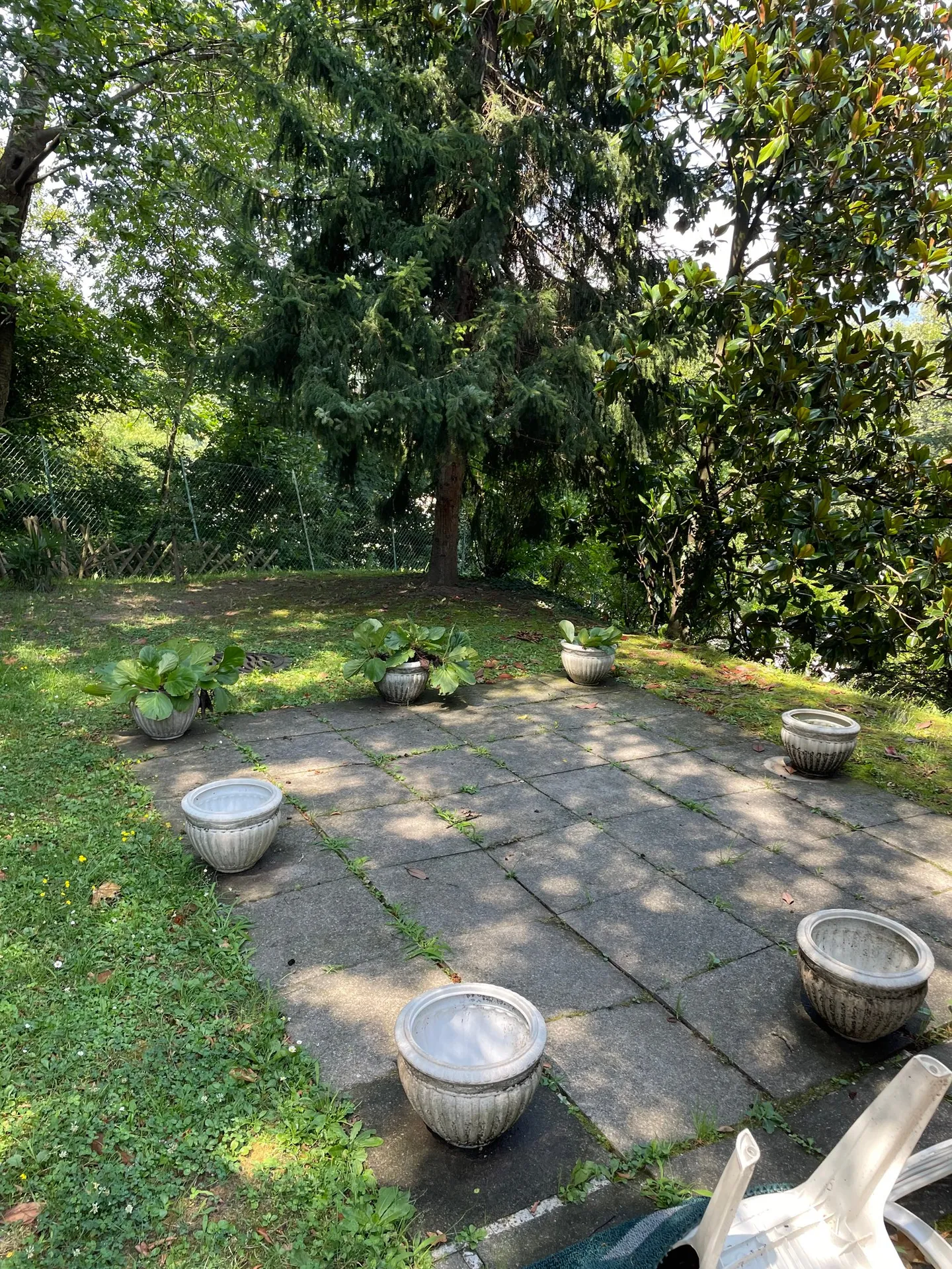 Appartamento Paradiso con Grande Potenziale - Foto 4 di 4