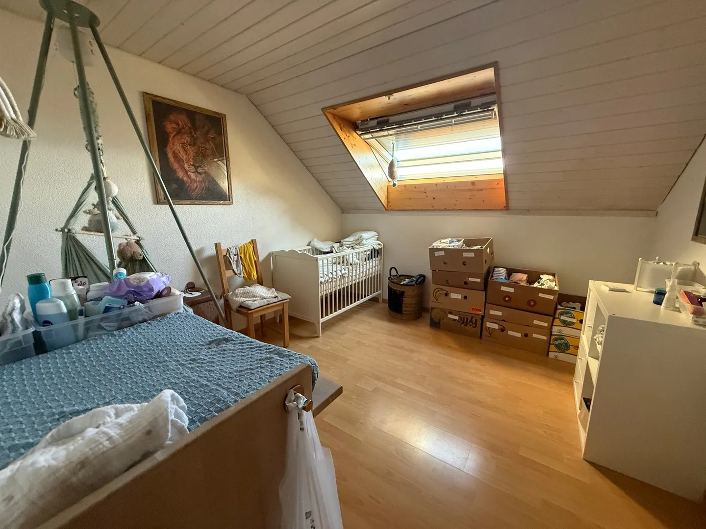 Charming 4.5-Room Apartment with Fireplace and Balcony in Bözberg - Photo 7 of 16