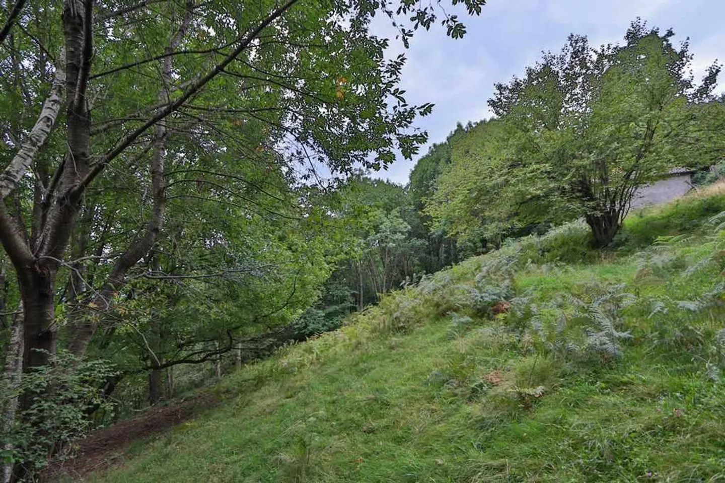 Charmantes rustikales Dorf - Foto 30 von 30