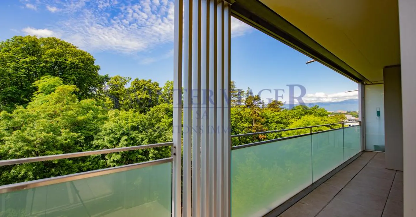 Carouge - Elegante appartamento di 3 locali con ampio balcone e vista libera - Foto 11 di 12