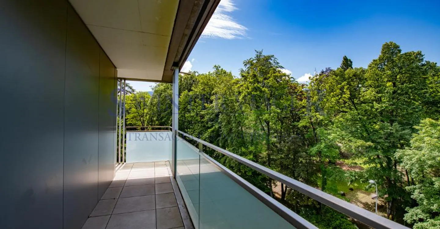 Carouge - Elegante appartamento di 3 locali con ampio balcone e vista libera - Foto 12 di 12