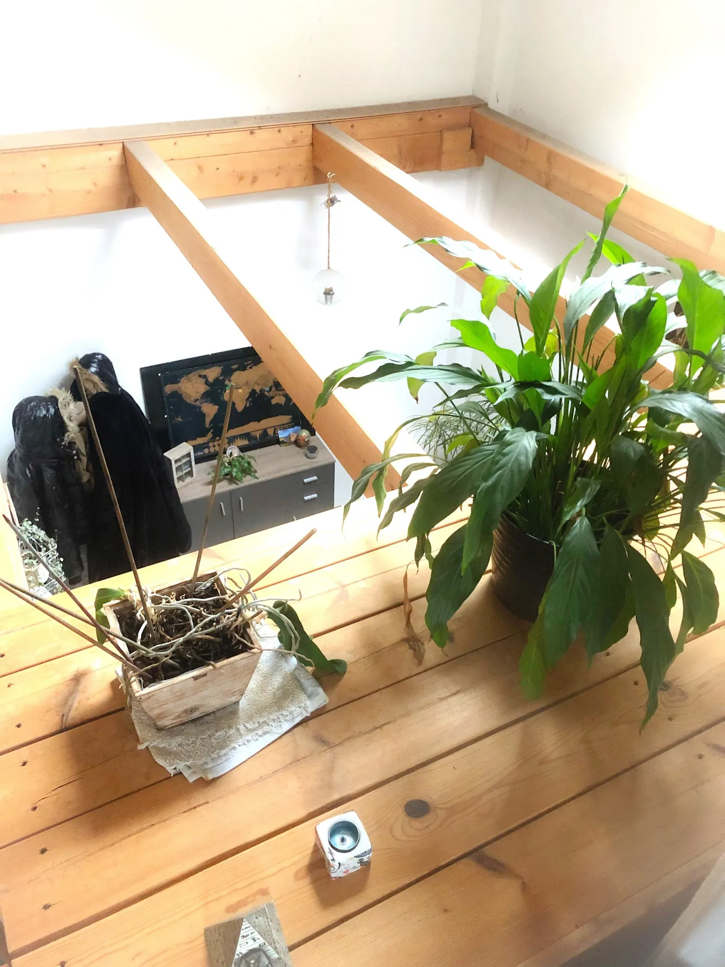 Charmant appartement 2.5 pièces - Photo 8 sur 12