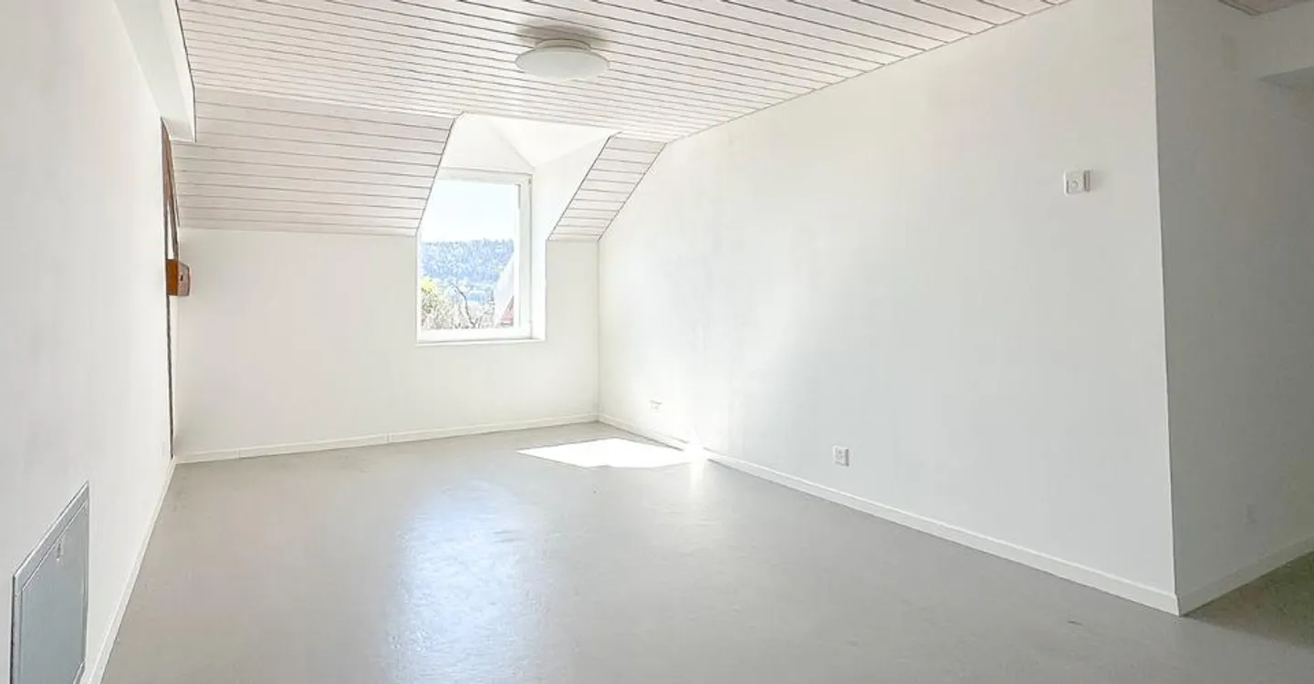 Appartamento di 2.5 locali di circa 130 m2 all'ultimo piano - Foto 5 di 9
