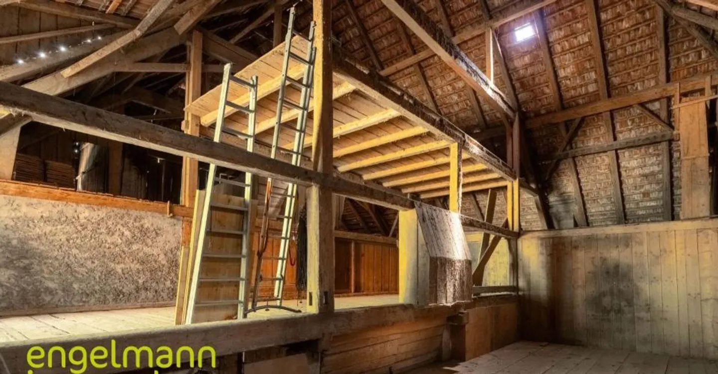 Antica fattoria con 2 appartamenti e grande terreno edificabile - Foto 11 di 12