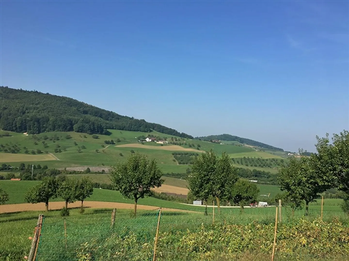 «ARISDORF - CHARMANTES EINFAMILIENHAUS - 5 ZIMMER» - Foto 2 von 4