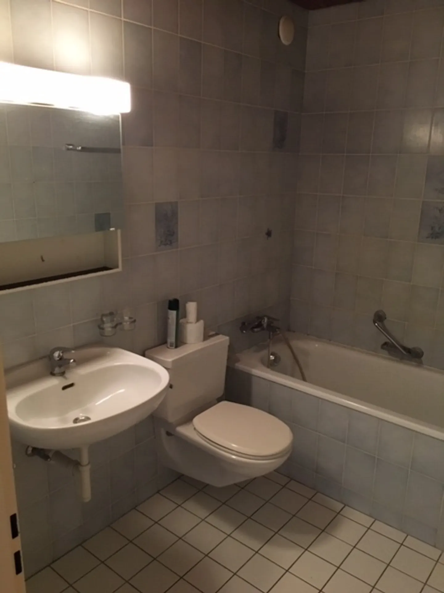 Charmante Wohnung in Bex - Foto 4 von 6