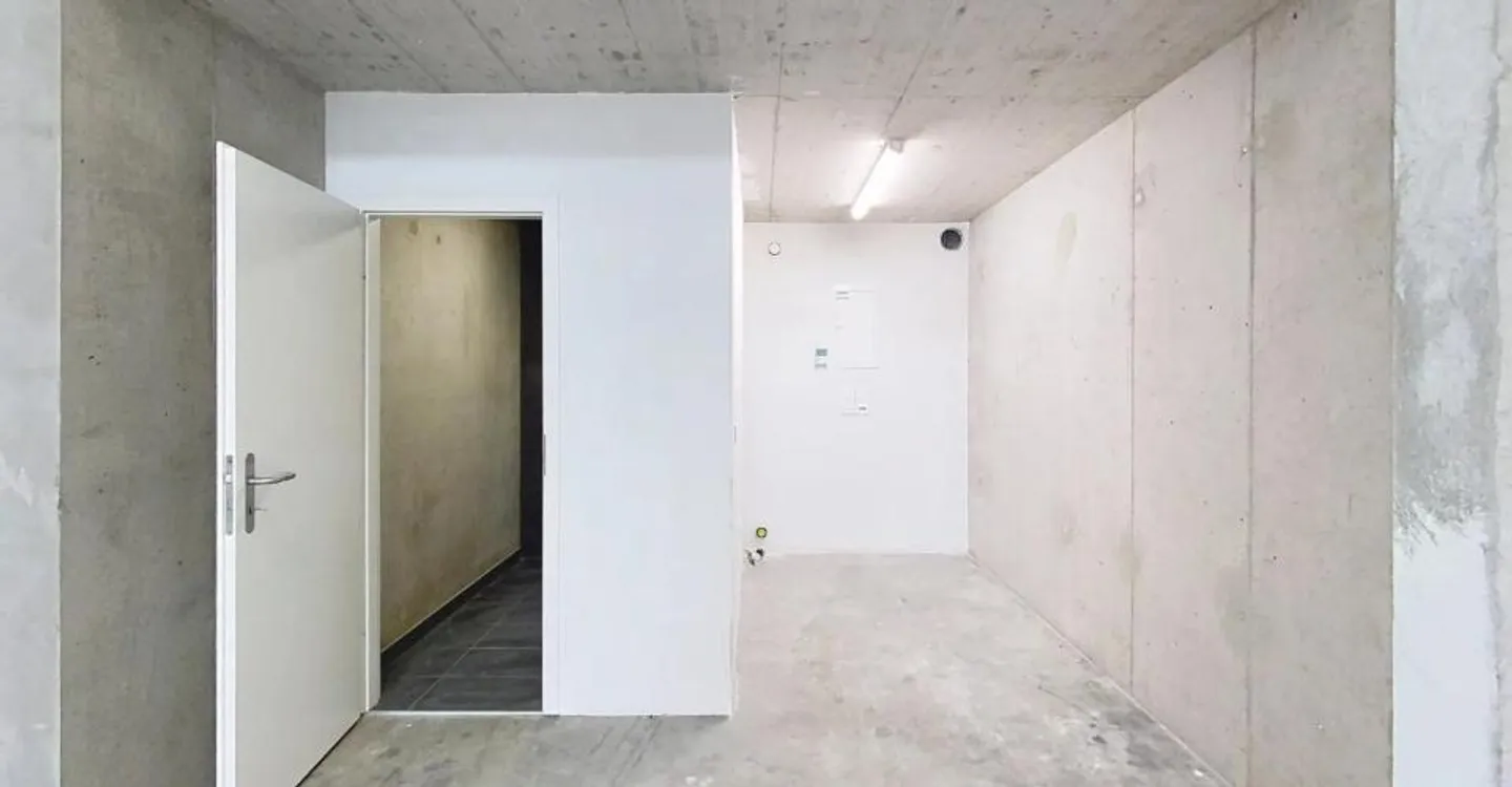 Industrial Space in Vernier - Photo 8 of 8