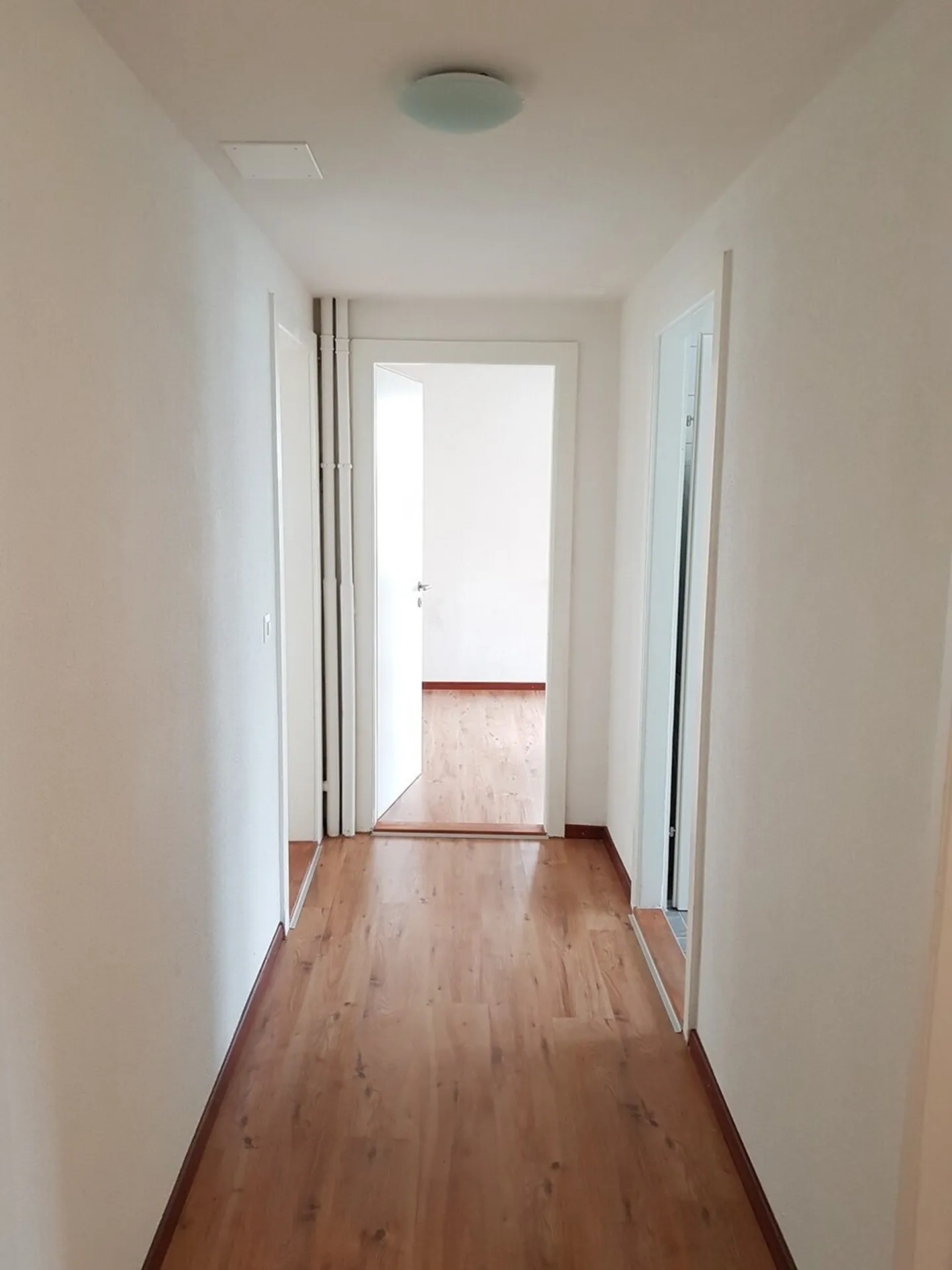 Charming Apartment: Classic Architecture Meets Modern Living - Photo 7 of 10